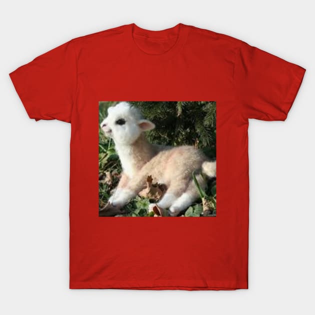 llama llama red onesie T-Shirt by reedanderson